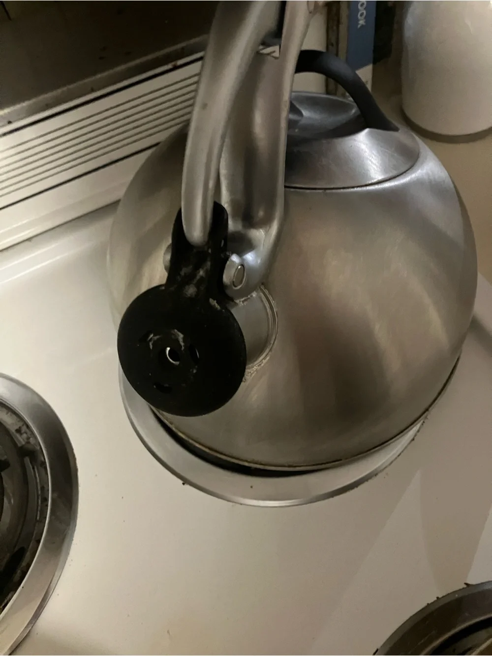 Stainless Steel Whistling Tea Kettle with Black Handle